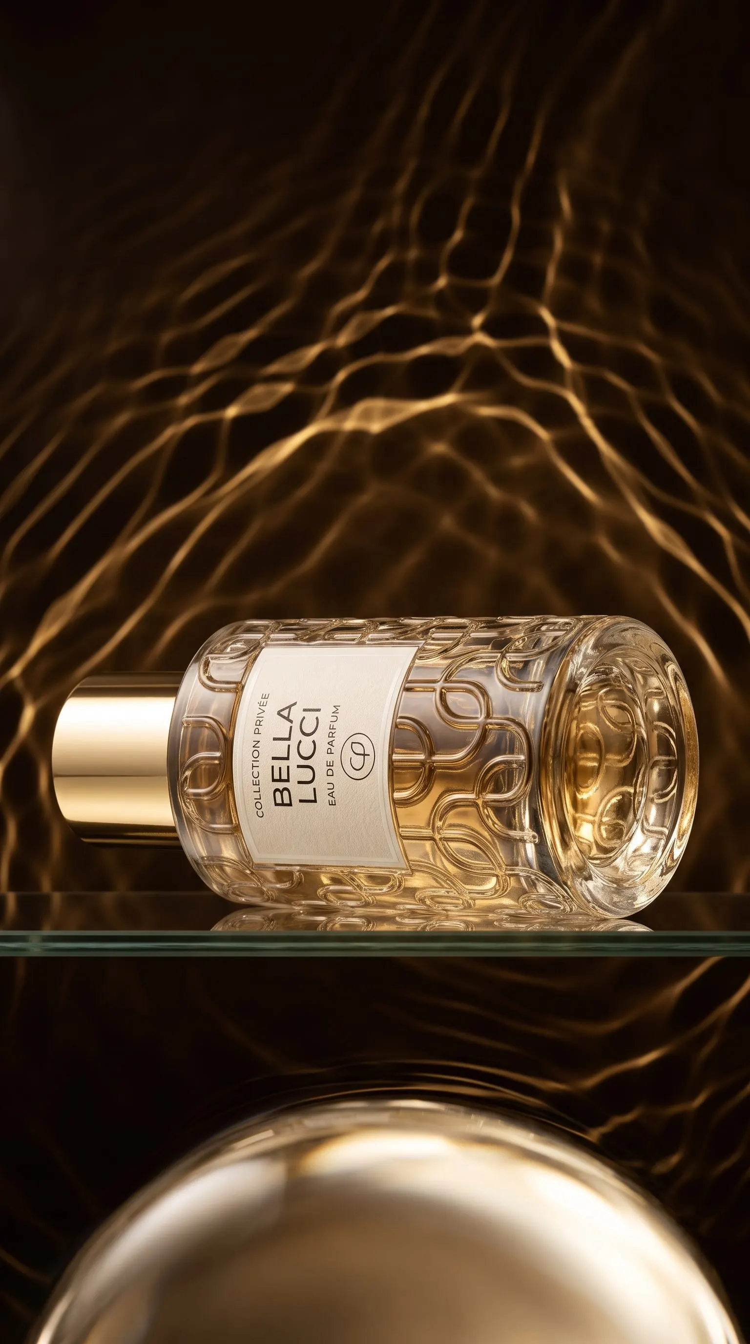 Bella Lucci lying on a glass shelf in golden light